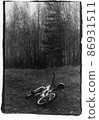 The bicycle is lying on the ground against the backdrop of the forest. 86931511