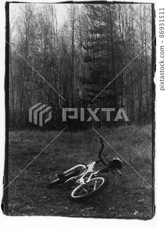 The bicycle is lying on the ground against the backdrop of the forest. 86931511