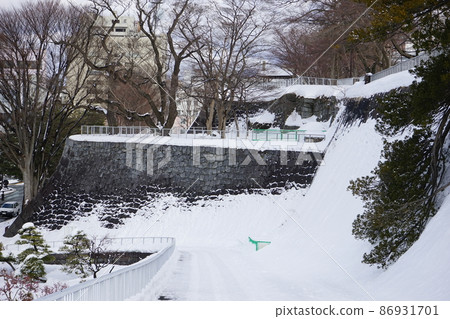 擁有令人驚嘆的石牆的盛岡城跡公園 86931701