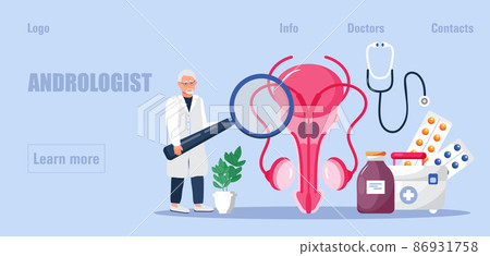 Andrologist, prostate cancer concept vector. Medical illustration of andrology for web, landing page, blog. Ovary, testis, adrenal gland are shown. Andrologist, prostate cancer concept vector. Medical illustration of andrology for web, landing page, blog. Ovary, testis, adrenal gland are shown. 86931758