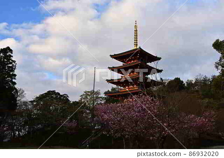 春天的成愛寺 春天的成愛寺 86932020