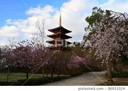 春天的成愛寺 春天的成愛寺 86932024