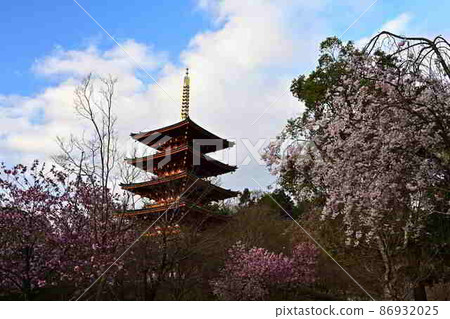 春天的成愛寺 春天的成愛寺 86932025