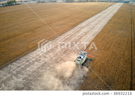 Aerial view of combine harvester working during harvesting season on large ripe wheat field. Agriculture concept 86932218