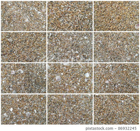 Shells and sand Shells and sand 86932245