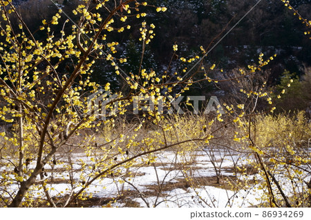 柔白渡瀨溪谷鐵路豪堂站 86934269