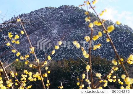 柔白渡瀨溪谷鐵路豪堂站 86934275