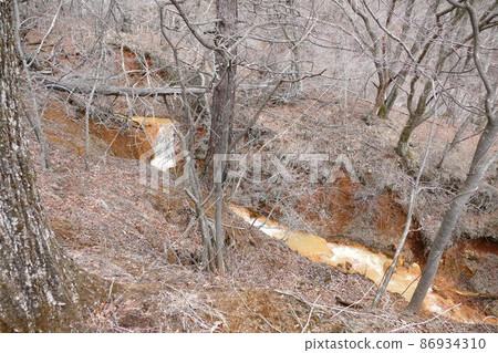 Mt. Asama, climbing from Oiwake-shuku, Mt. Ishizune hiking trail, a muddy river with a red riverbed, April 2016 Mt. Asama, climbing from Oiwake-shuku, Mt. Ishizune hiking trail, a muddy river with a red riverbed, April 2016 86934310