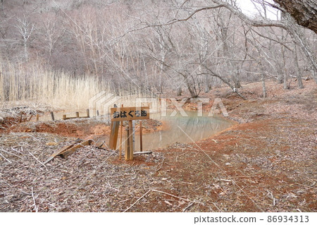 2016年4月,從Oiwake-shuku攀登的淺間山,石津山登山步道,大黑池 2016年4月,從Oiwake-shuku攀登的淺間山,石津山登山步道,大黑池 86934313