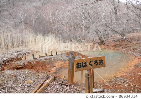 2016年4月，從Oiwake-shuku攀登的淺間山，石津山登山步道，大黑池 86934314