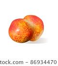 realistic ripe nectarines fruit on white background 86934470