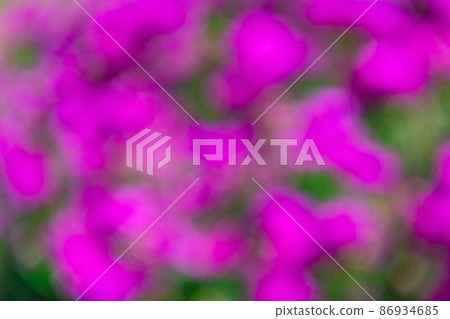 Abstract blurry magenta flowers blooming on floral blurred background 86934685