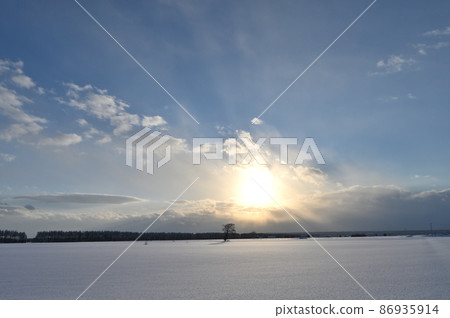 Hokkaido winter scenery at dusk 86935914