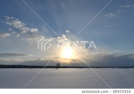 Hokkaido winter scenery at dusk 86935916