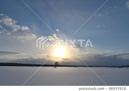 Hokkaido winter scenery at dusk 86935918