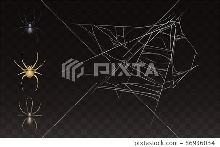 Vector collection of realistic web with spider - Stock Illustration ...