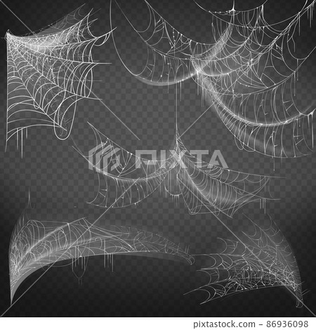 Vector hand drawn spiderweb, white spooky cobweb 86936098