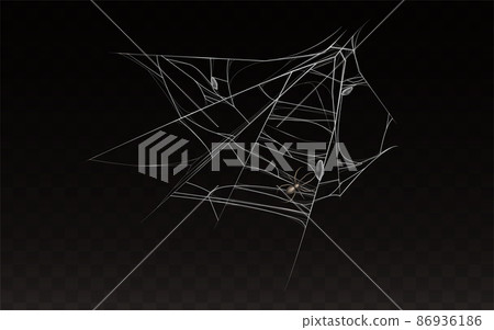 Vector collection of realistic web with spider Vector collection of realistic web with spider 86936186