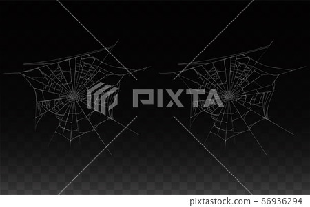 Vector collection of realistic cobweb, spider web Vector collection of realistic cobweb, spider web 86936294