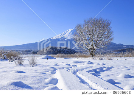 雪景河口湖的大石公園 雪景河口湖的大石公園 86936608