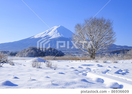 Oishi Park with snowy scenery Lake Kawaguchi 86936609