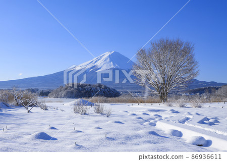 Oishi Park with snowy scenery Lake Kawaguchi Oishi Park with snowy scenery Lake Kawaguchi 86936611