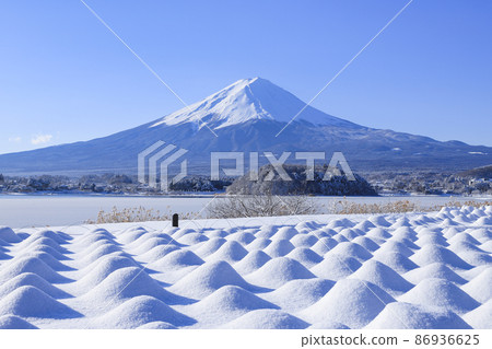 雪景河口湖的大石公園 雪景河口湖的大石公園 86936625
