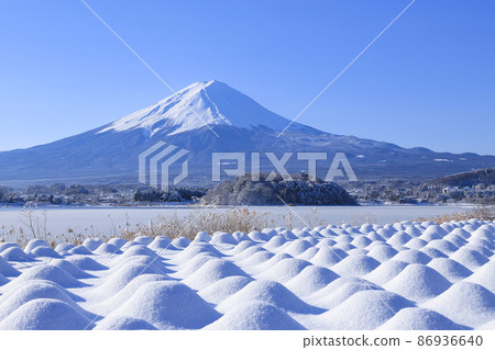 Oishi Park with snowy scenery Lake Kawaguchi Oishi Park with snowy scenery Lake Kawaguchi 86936640