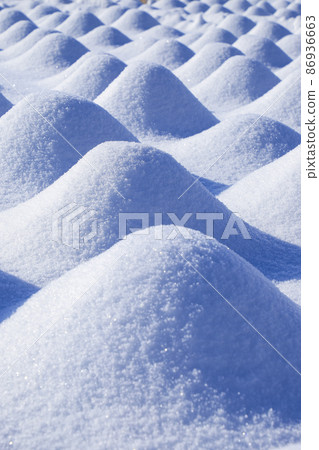 雪景河口湖的大石公園 86936663