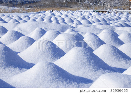 雪景河口湖的大石公園 雪景河口湖的大石公園 86936665