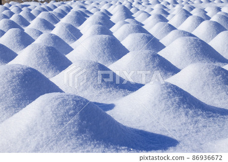 雪景河口湖的大石公園 雪景河口湖的大石公園 86936672