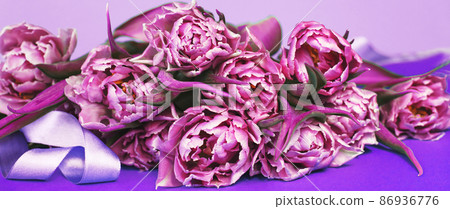purple flower tulips background with copy space. banner 86936776