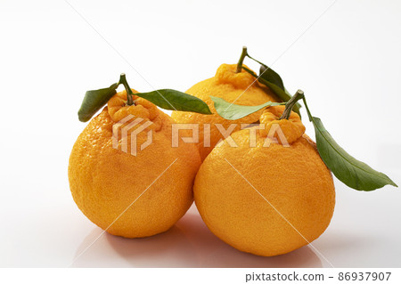 Dekopon with leaves_white background 86937907