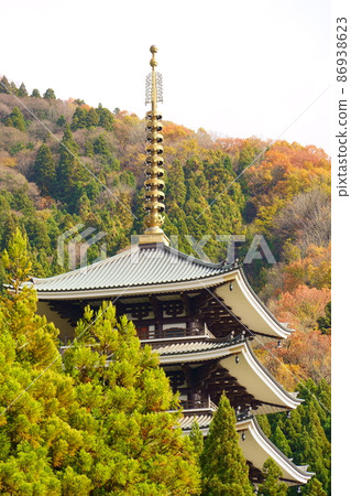 Echizen Daibutsu / Daishiyama Seidaiji Five-storied Pagoda (Katsuyama City, Fukui Prefecture) 86938623