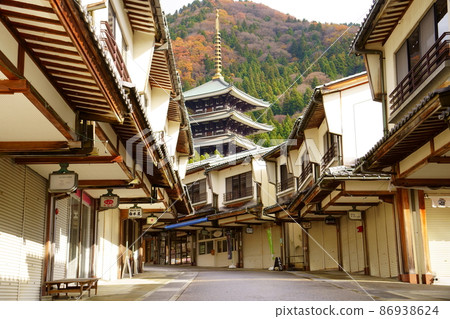 Echizen Daibutsu / Daishiyama Seidaiji Monzen-cho and Five-storied Pagoda (Katsuyama City, Fukui Prefecture) 86938624