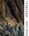 Columnar joint Columnar joint 86938631