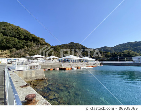 Tsukui dolphin island 86939369
