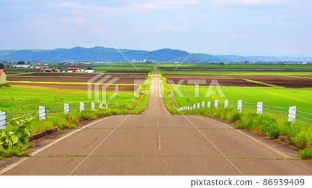 Straight road (in Hokkaido Tokachi jurisdiction) 86939409