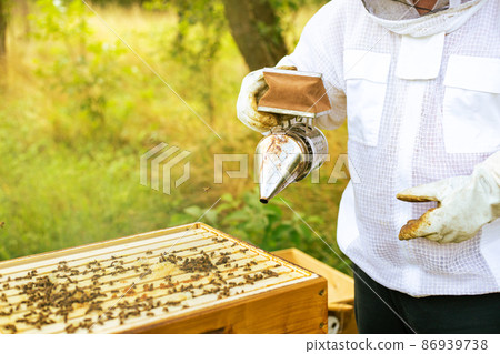 Beekeeping concept, beekeeper looks after bees, the bees checks, checks honey, beekeeper exploring honeycomb, smoking a bees Beekeeping concept, beekeeper looks after bees, the bees checks, checks honey, beekeeper exploring honeycomb, smoking a bees 86939738