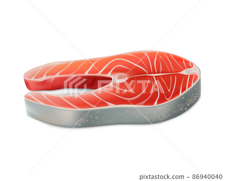 Raw fish, fresh salmon steak seafood product Raw fish, fresh salmon steak seafood product 86940040