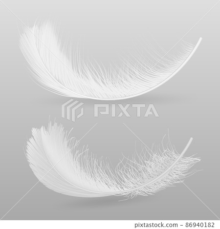 Birds white feather realistic vector illustration Birds white feather realistic vector illustration 86940182