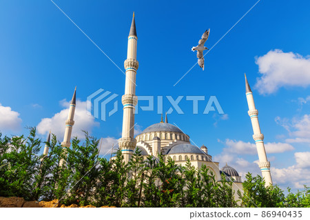 Seagull flies by Gorgeous new mosque of Istanbul, the Camlica Mosque, Turkey Seagull flies by Gorgeous new mosque of Istanbul, the Camlica Mosque, Turkey 86940435