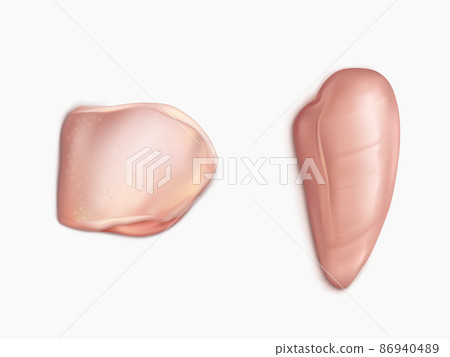 Raw chicken or turkey meat set on white background 86940489
