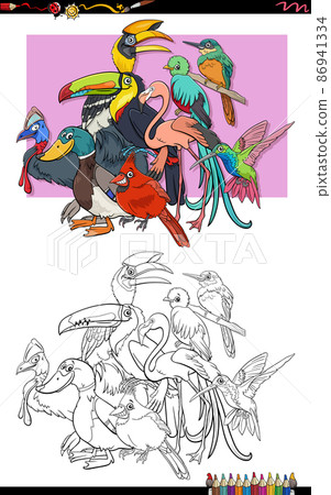 cartoon birds animal characters group coloring book page 86941334