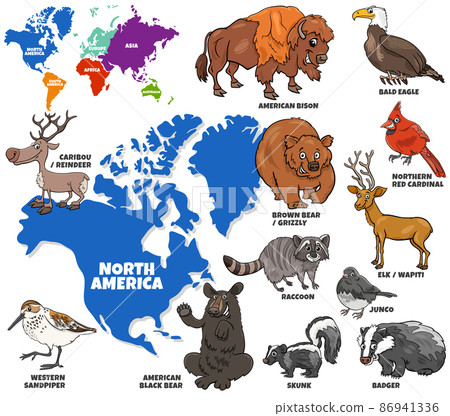 educational illustration of cartoon North American animals set 86941336