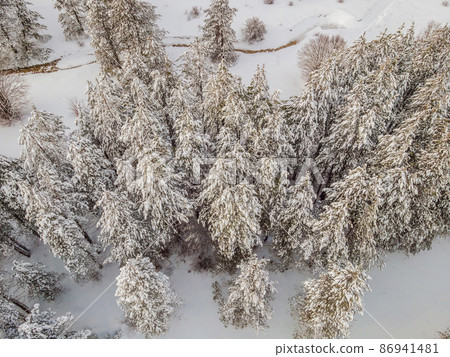 Aerial view of a winter snow-covered pine forest. Aerial drone view of a winter landscape. Snow covered forest Aerial view of a winter snow-covered pine forest. Aerial drone view of a winter landscape. Snow covered forest 86941481
