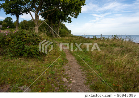 A hiking path through lush vegetation. Blue water and a blu sky in the background. Picture from Skalderviken, Sweden 86943099