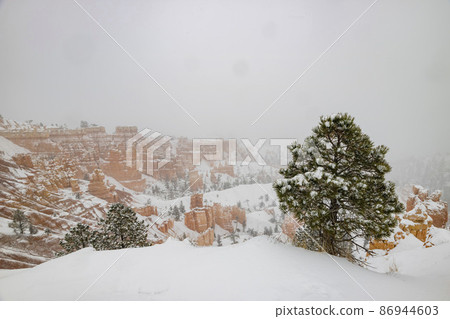 Superb view of Sunset Point of Bryce Canyon National Park 86944603