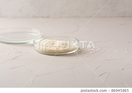 Rice in a glass bowl for making cosmetics. Fermented beauty care concept, holistic beauty. Copy space 86945865