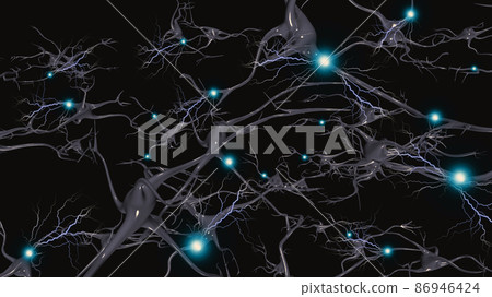 Neurons Neurons 86946424